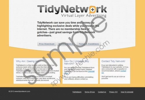 What is TidyNetwork?
