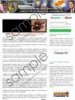 Cyprus Police Emergency Response Unit Virus Removal Guide